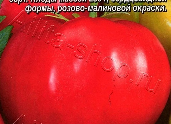 Томат Вельможа