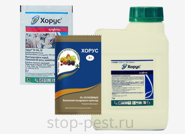ХОРУС, фунгицид (полная инструкция)