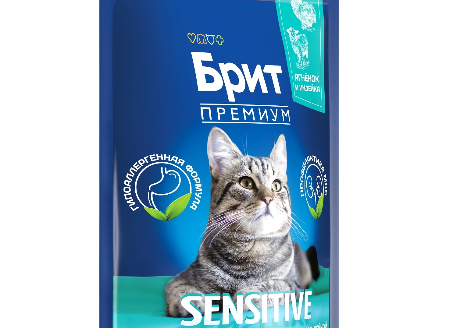 Чем кормить британца Чем кормить британца