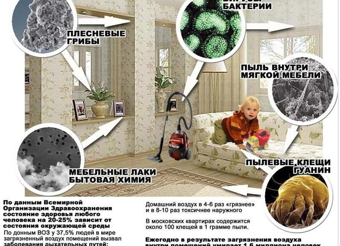 Как избавиться от пыли в квартире