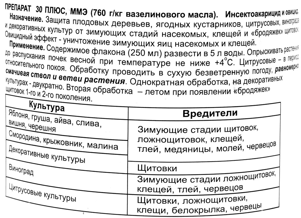 Фунгициды для винограда: виды и применение