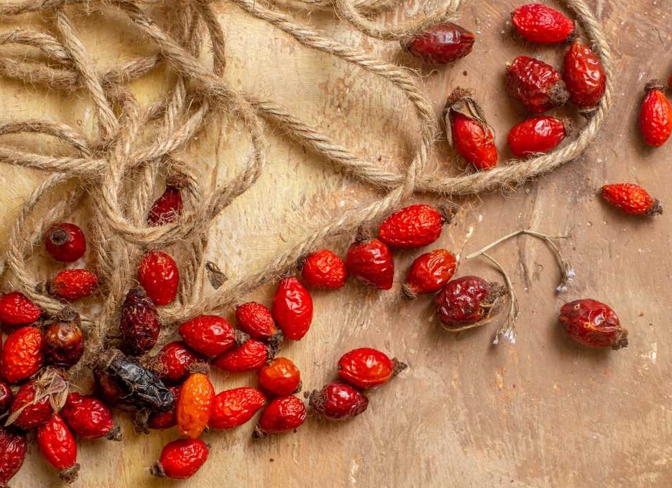 Как приготовить вкусный витаминный напиток из имбиря, шиповника, калины и других ягод и фруктов в домашних условиях | Блог мамы: работа+семья