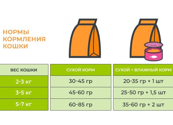 Какая норма корма для котенка в день
