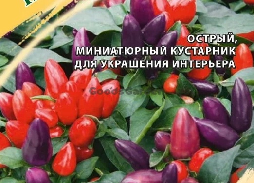 Семена перца комнатного Гавриш Пиковая дама — отзывы