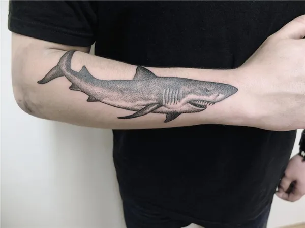 фото татуировки акула на руке у парня