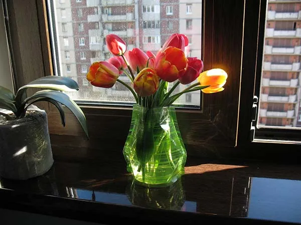 Как сохранить тюльпаны до 8 Марта. Тюльпаны в вазе. 5