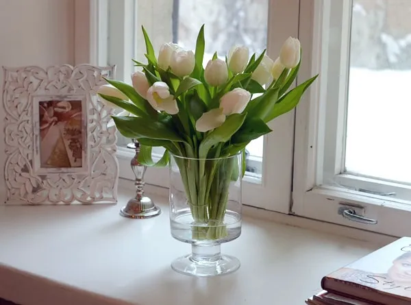 Как сохранить тюльпаны до 8 Марта. Тюльпаны в вазе. 4