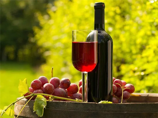 Выращивание винограда Виктория — как посадить и ухаживать. Виноград виктория описание сорта. 4