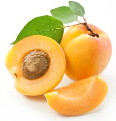 Ягоды абрикоса