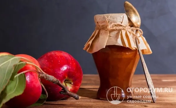 Сочная, плотная мякоть яблок – отличная основа для приготовления джема, пастилы, сока, сидра и других кулинарных изысков
