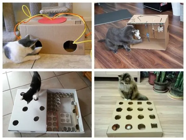 Обычная картонная коробка превращается в головоломку для котика