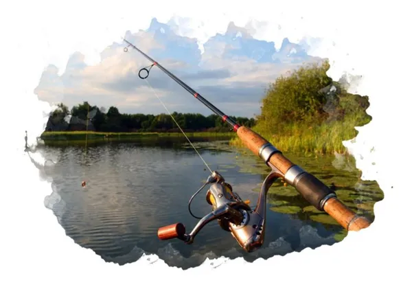 ТОП-7 лучших спиннингов для ловли рыбы: характеристики, плюсы и минусы