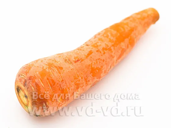 Сколько весит одна морковь среднего размера. Сколько весит морковь. 2