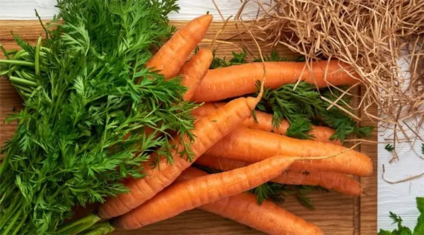 Сколько весит одна морковь среднего размера. Сколько весит морковь. 4