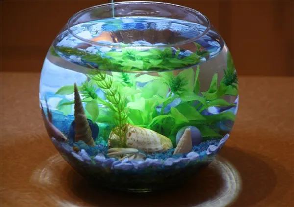 круглый аквариум для гуппи