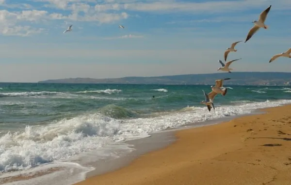 Лучшие песчаные пляжи Феодосии 2023 для отдыха с детьми