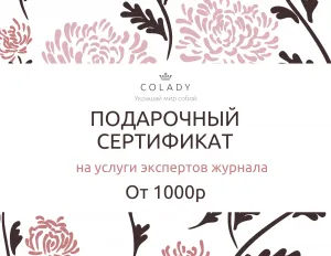 сертификат colady