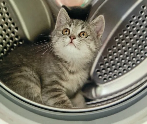 Как почистить стиральную машину: пошаговая инструкция. Как почистить стиральную машинку. 8