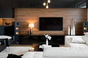 Телевизор в гостиной: фото, выбор места расположения, варианты дизайна стены в зале вокруг ТВ. Тв зона в гостиной. 2