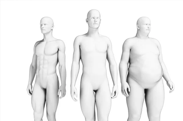 Конституция тела человека. Что это, типы, виды, как определить, тесты. Типы телосложения человека. 4