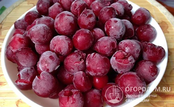 При заморозке вишни в течение длительного времени отлично сохраняют вкус, характерный запах и полезные свойства