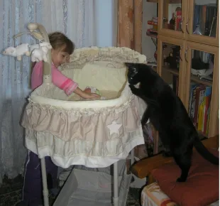 Знакомство кошки с новорождённым