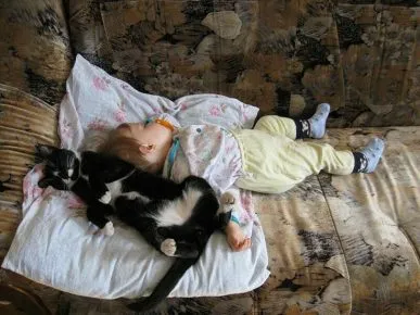 Ребёнок и кошка отдыхают