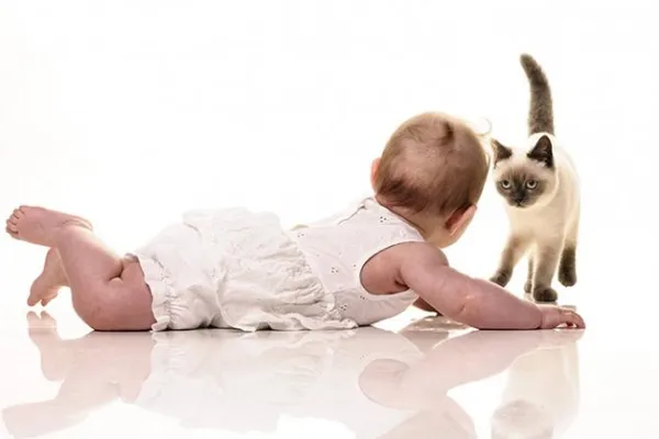 Кошка и ребенок в одном доме