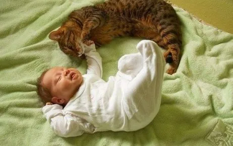 Кот с младенцем