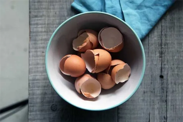 Поделки из яиц и яичной скорлупы своими руками - интересные мастер-классы и красивые фото примеры. Поделки из яиц. 44