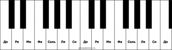Расположение полутонов на клавишах пианино
