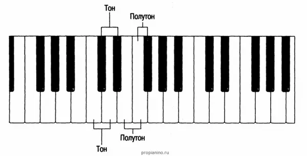 Расположение нот на клавишах пианино