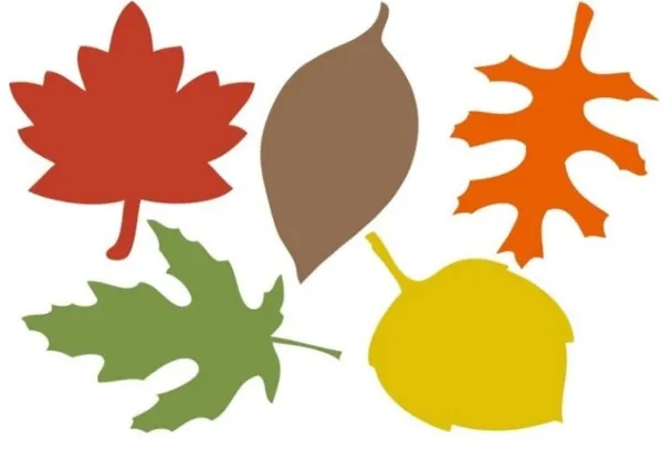 Цветной шаблон листьев 4
