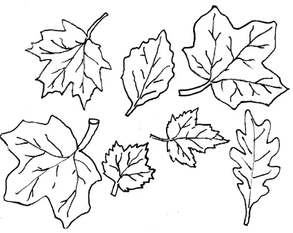 Шаблон листьев 4