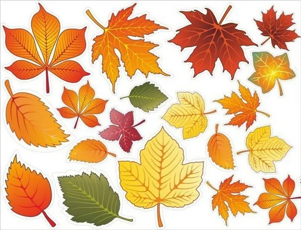 Цветной шаблон листьев 5