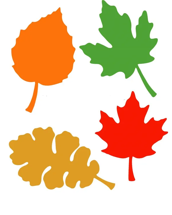 Цветной шаблон листьев 2