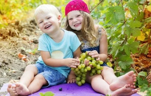 Дети и виноград