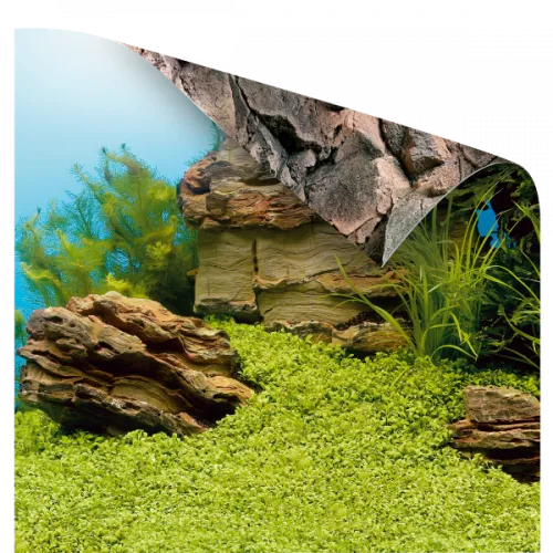 Виды фонов для аквариума