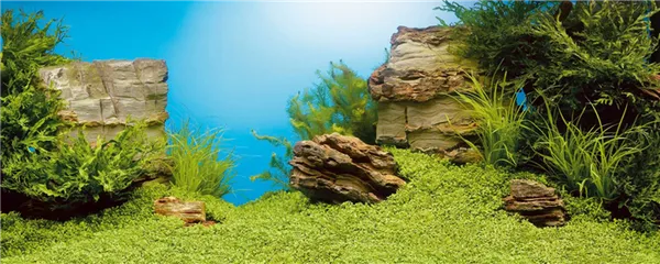 На изображении аквариумный фон