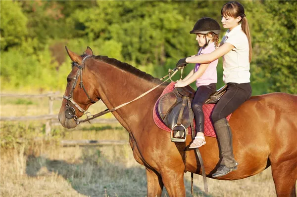 Польза и вред конного спорт для детей и взрослых – где лучше брать уроки конного спорта. Катание на лошадях. 2