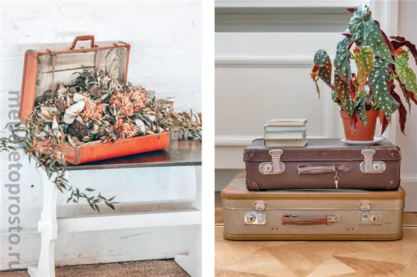 Старый чемодан или сундук в интерьере: кашпо или подставка для цветов