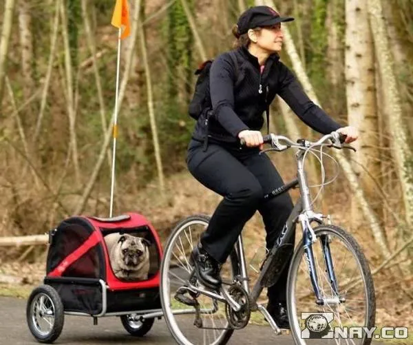 Велотрейлер для собак