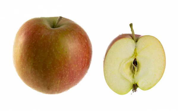 Сорта яблонь: 32 лучших сорта 2023 с описанием и фото. Сорта яблок фото с названием. 13