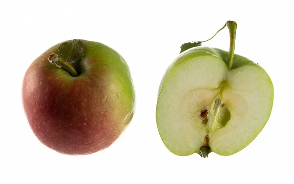 Сорта яблонь: 32 лучших сорта 2023 с описанием и фото. Сорта яблок фото с названием. 12