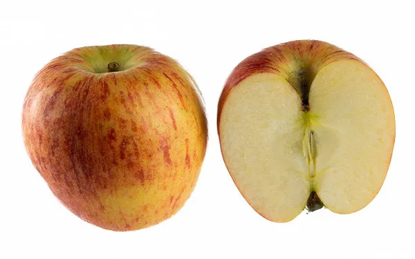 Сорта яблонь: 32 лучших сорта 2023 с описанием и фото. Сорта яблок фото с названием. 11