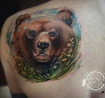 Цветная морда медведя на лопатке