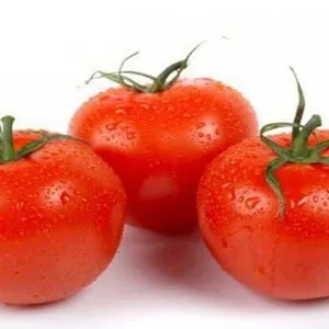 Почему так любим и популярен томат «Мечта огородника»: описание сорта и отзывы дачников со стажем. Томат мечта огородника. 3