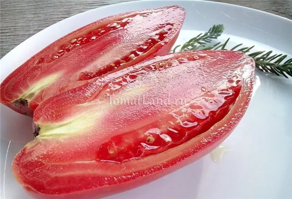 томаты подсинское чудо фото в разрезе