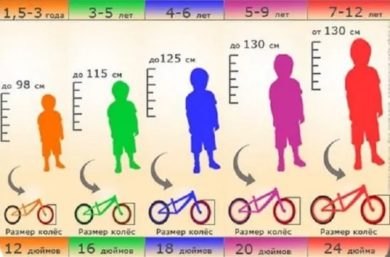 Как выбрать детский велосипед: важные критерии и популярные модели. 4 колесный велосипед. 6