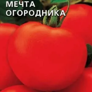Почему так любим и популярен томат «Мечта огородника»: описание сорта и отзывы дачников со стажем. Томат мечта огородника. 1